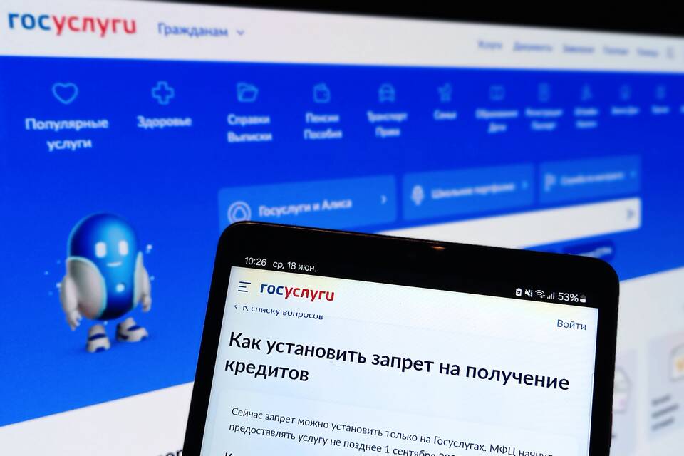 Как получить НЭП через Госуслуги