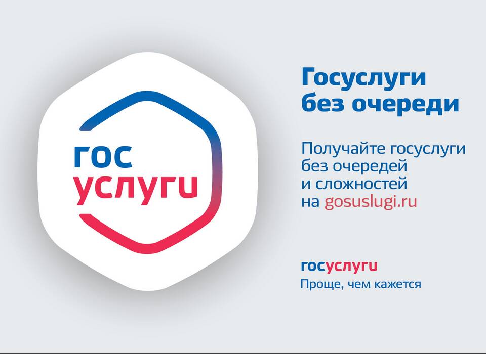 Сколько лет порталу Госуслуги