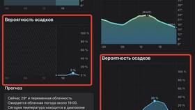 Что значит вероятность осадков в процентах в Фармакопейка