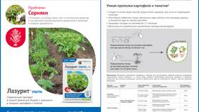 Инструкция по правильному разведению препарата Лазурит в Фармакопейка