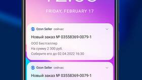Как посмотреть заказы на Ozon Seller в Фармакопейка