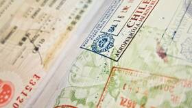 Как правильно оформить визу в Фармакопейка