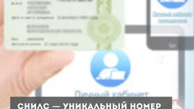 Как узнать имя человека по СНИЛС в Фармакопейка