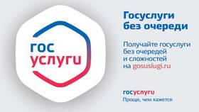 Сколько лет порталу Госуслуги в Фармакопейка