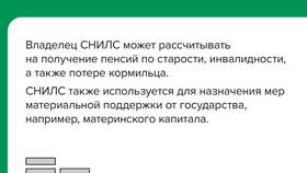 Зачем требуется СНИЛС при оформлении документов? в Фармакопейка