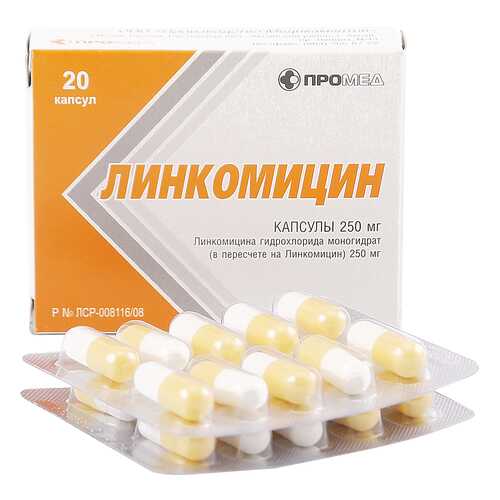 Линкомицин гидрохлорид капсулы 0,25 г 20 шт. в Фармакопейка